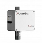 Gas Detector Teta EcoDet